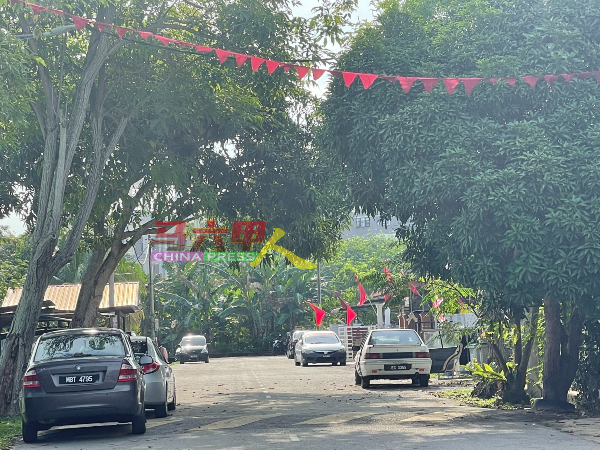 红色旗帜在末拉威斯花园各角落飘扬。