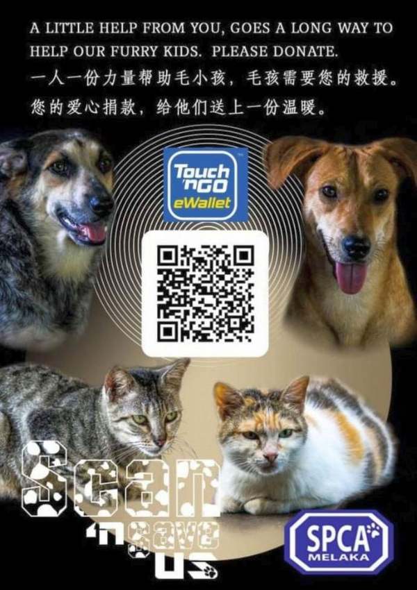 ■民众可以通过Touch 'n Go电子钱包转账，捐助马六甲防止虐待动物协会。