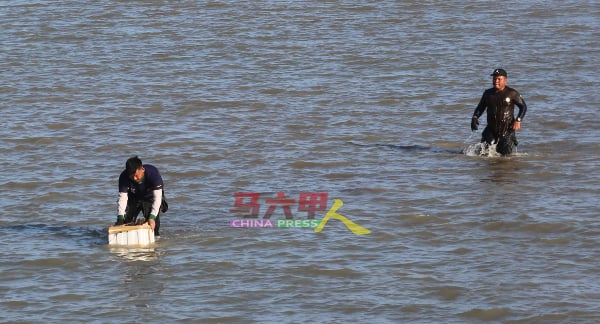 ■捕捞“海鸟”需具备经验与知识，掌握“海鸟”的藏身处，并且需谙水性，否则涨潮时可会被没顶丢命。