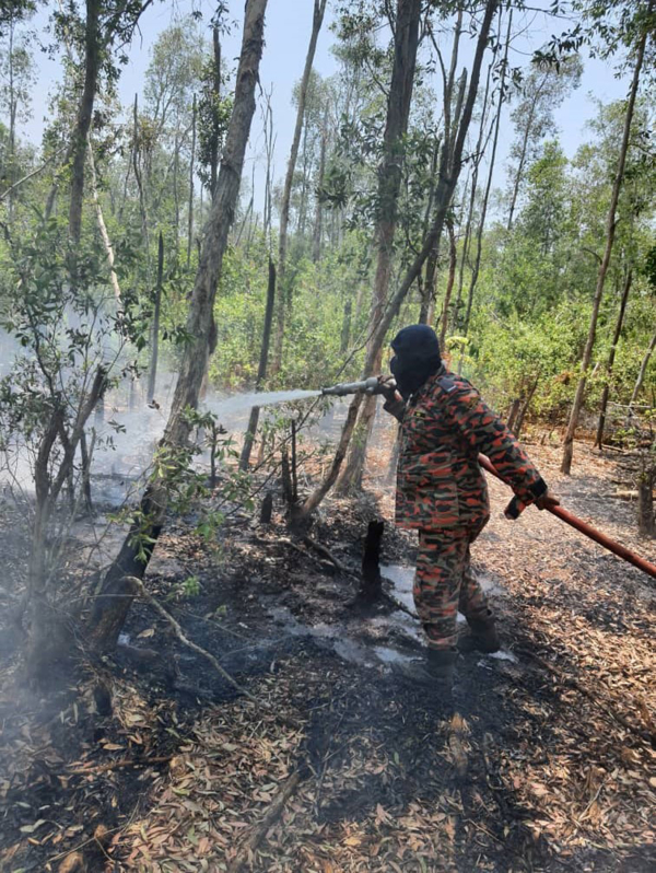 ■消拯员在野新万里望武吉拉浪油棕园的林火事件，连续6天“驻扎”油棕园内灭火。