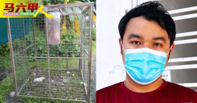 剪破笼子  放生野猴  郭子毅：不能解决问题