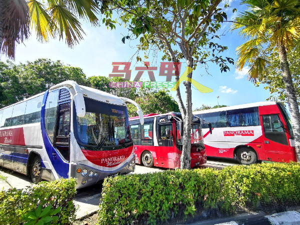 马六甲全景巴士（PANORAMA）4日起暂停服务5天，民众受促留意。（档案照）