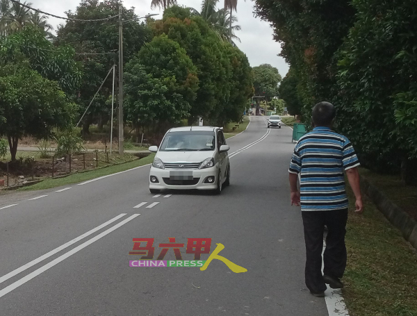 ■为了闪避路旁树木，车辆被逼驶出反方向车道。