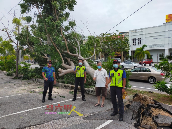 市政厅第一时间反应小组接获投报后，已经抵达现场清理大树，陈劲源（右2）到场了解情况。