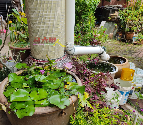 ■收集到的雨水，除了作为清洁用途，也用来浇花草。