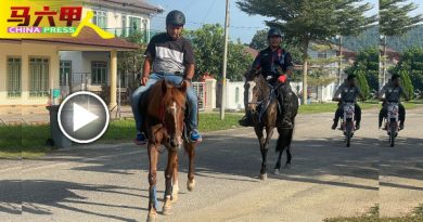 ◤今日马六甲头条◢甘榜友族  骑马  逛新村  饲主“走马看花”  送惊喜