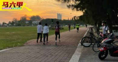 晋次阶段．适逢周日  爱极乐植物园  吉里望广场       动起来
