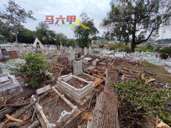 现场目测约20个墓碑蒙受不同程度的毁坏。