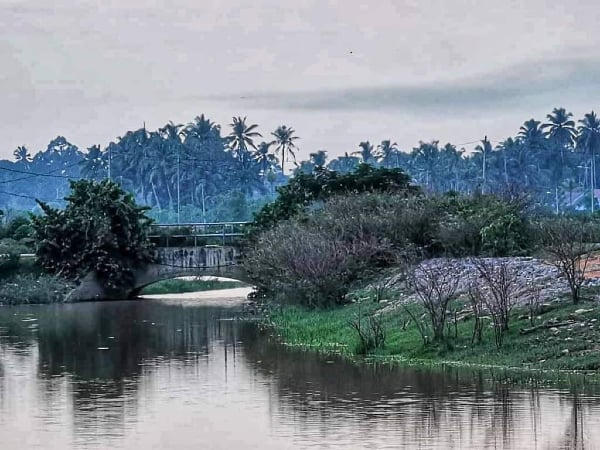 ■陈金木在榴梿洞葛抽水站摄下的景色，如同水墨画中的中国美景。