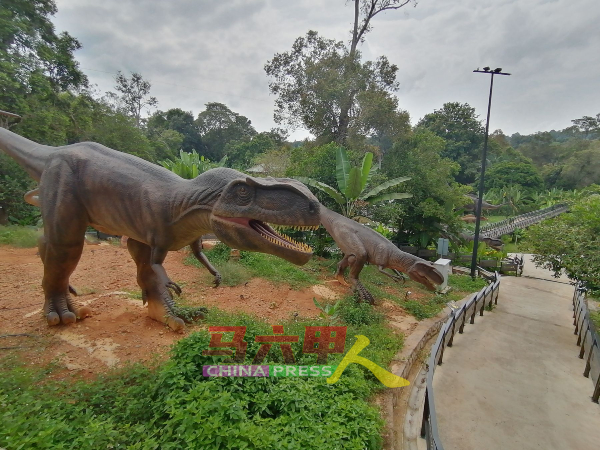 动物园的票价包括可参观恐龙乐园，走入恐龙世界探险。