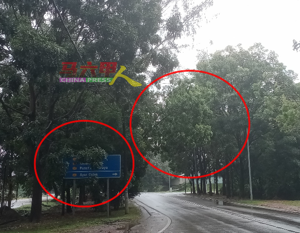 ■部分树枝遮盖路牌（左红圈），部分树枝则延伸至路中（右红圈），对公路使用者带来不便及危险。