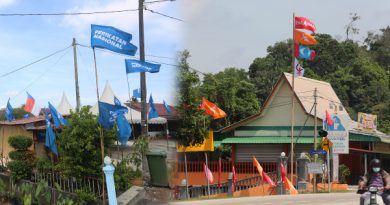 甲州选将至  多区旗海飘扬