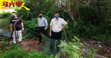 蛇鼠窜入毒友潜伏 住宅后方 荒废成丛林