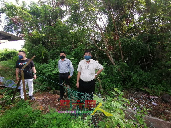 蔡求伟（左起）、林千宏与戴佛淞勘察住宅后的丛林。