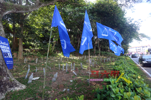 虽然一些旗帜插在墓碑周围，但也有许多都是插在较靠近马路边的范围。