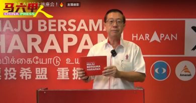 ◤古城开战◢“灭青蛙  靠反跳槽法令”     林冠英：确保政治文化健康