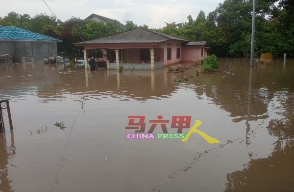 ■爱极乐多区一雨成灾，已成该区选民面对最逼切问题。（档案照）