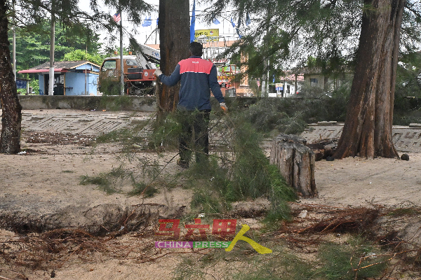 市政厅人员移走树干。