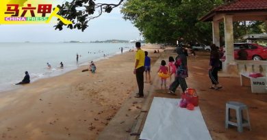 到海边 吹吹风  游客陆续来  景区现商机
