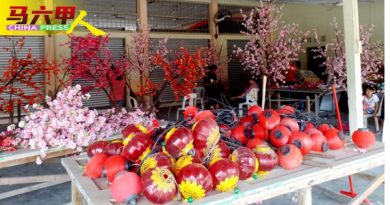 马接翁武新村 展开年景布置