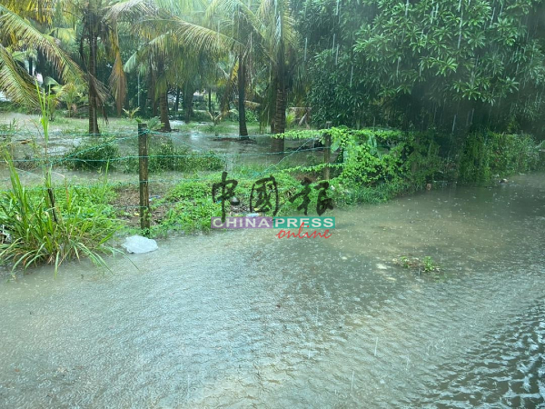 下大雨时，土沟的水流向椰园，导致积水如池塘，雨水也倒流到地势较低的武吉波浪碧斯达里花园。