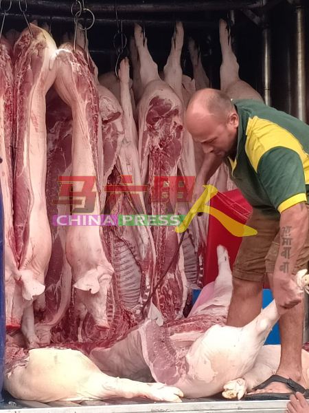 从柔佛州输入的猪肉，运抵马六甲供应市场。