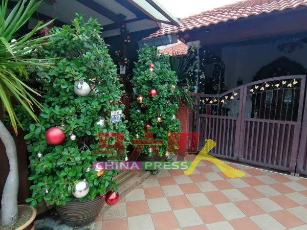 在住宅前种植的树上挂了装饰，充满着圣诞节气氛。
