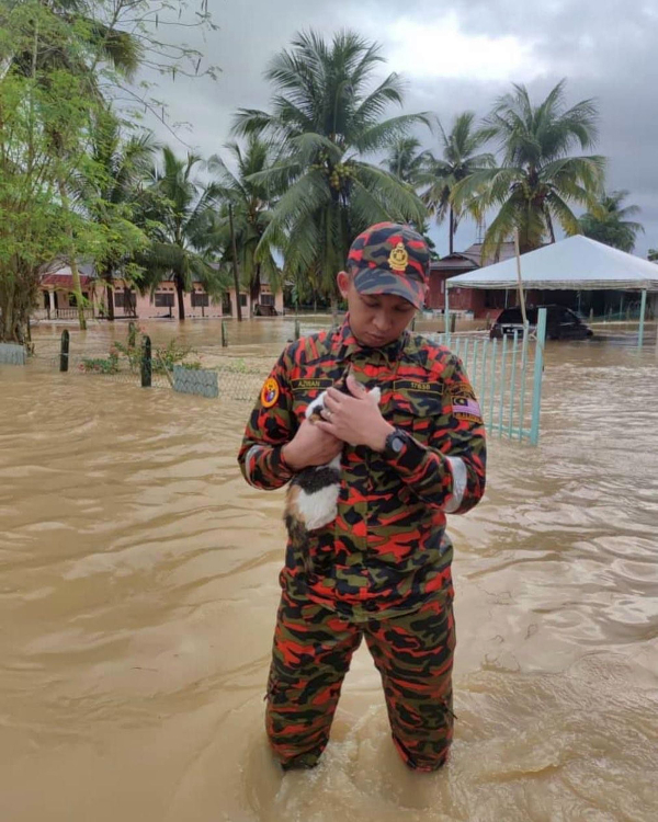 亚罗牙也消拯局消拯员，在甲州罗木支那甘榜柏仁邦的水灾中，救起一只猫。（图消拯局提供）