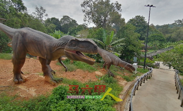 除了有机会看650只动物，访客还能参观“遇见恐龙”恐龙乐园。