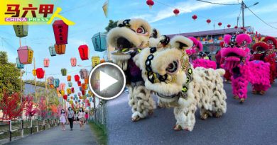 年景彩灯亮丽登场    柏美新村  春意浓