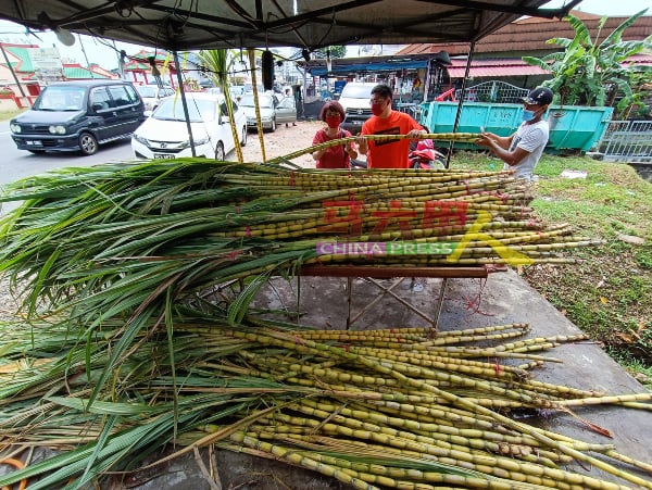 8日晚拜天公，不少福建人已陆续到市场上购买甘蔗拜祭。