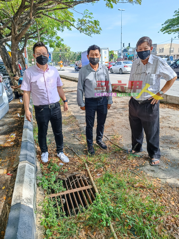蔡求伟（左起）、林千宏及戴佛淞促请市政厅，清理一堆掉落的枯叶，避免阻碍雨水排出。