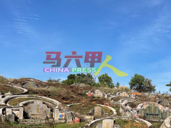 甲州最大华人义山的日落洞，如无政府SOP搅局，今年2022年清明节多数照常开放给民众扫墓。
