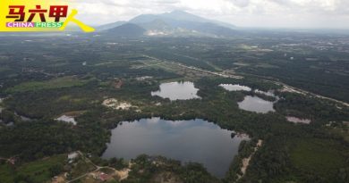 ◤今日马六甲头条◢白天远眺金山．夜晚仰望星空 野新蓝湖  成露营热点