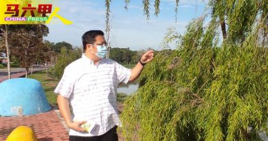 双溪布达休闲公园 可打造候鸟观赏区