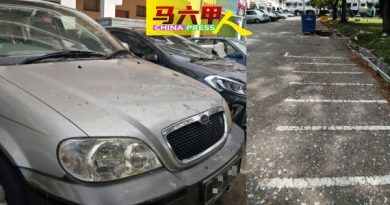 民众投食乱丢垃圾 射杀不尽 鸦患难解
