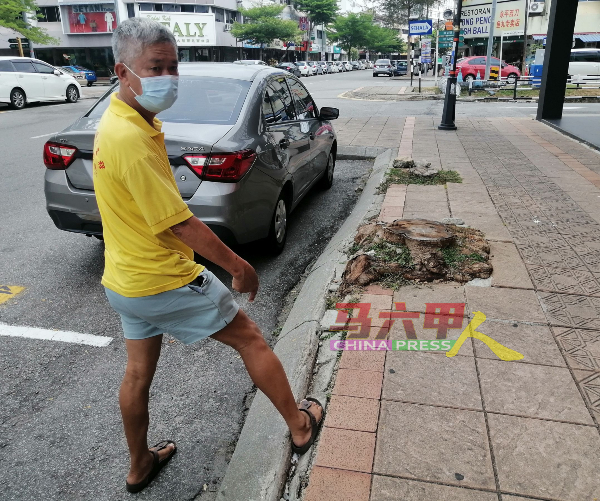 浮起树根破坏走道，导致走道的地砖移位及破裂，民众走在走道上必须多加注意。