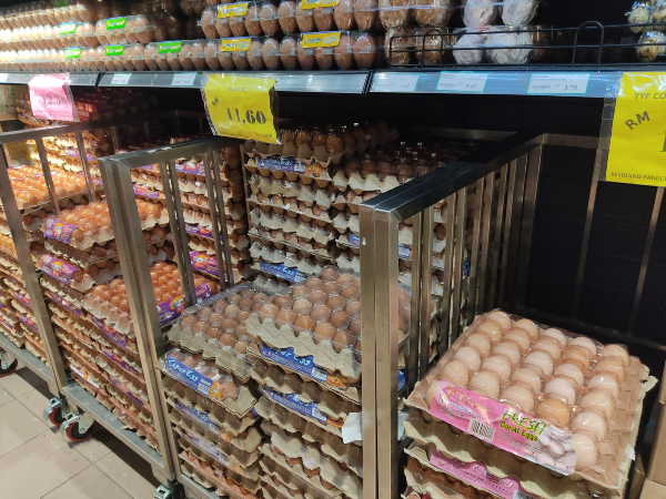 甲州市场缺乏C级鸡蛋的供应。