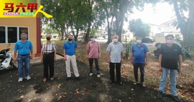 30棵茂盛大树3年没修剪   居民忧酿树倒意外