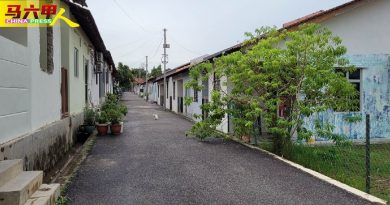 苏德拉旺宜第二期花园  市会辟沟改善水灾