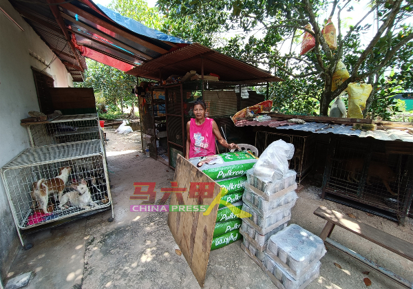 马六甲轻安舍护生园其中一名工作人员，负责清理粪便及喂食。