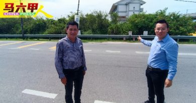 波格芒加空地雜草叢生成樹林 蛇蟲出沒   危及居民安全