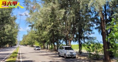 树枝下垂随时“打脸”  跑步人行道不安全