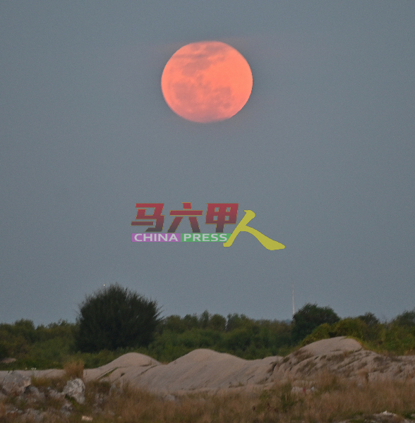 超级月亮于7时20分月圆时，橘色中带有粉红色。