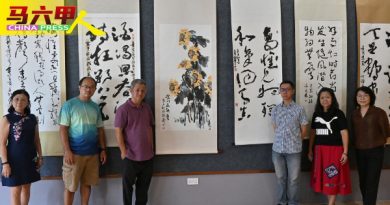 731起展一个月 2022年总会评审精品展   超过40幅精品供鉴赏