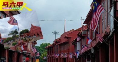辉煌条纹 迎国庆     甲市区风景换“新妆”