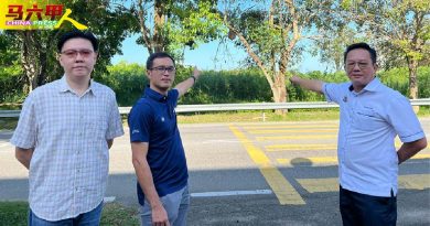 华小对面烧蜂窝  峇章育华小学师生安心了