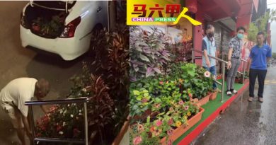 ◤今日马六甲头条◢业者装电眼揪宵小 店前花太美   屡被偷