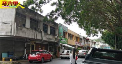 半年投诉2次还是无行动  断树枝击中车穿破车篷