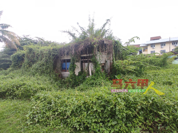 ■未拆除的板屋，已遭杂草“吞没”。